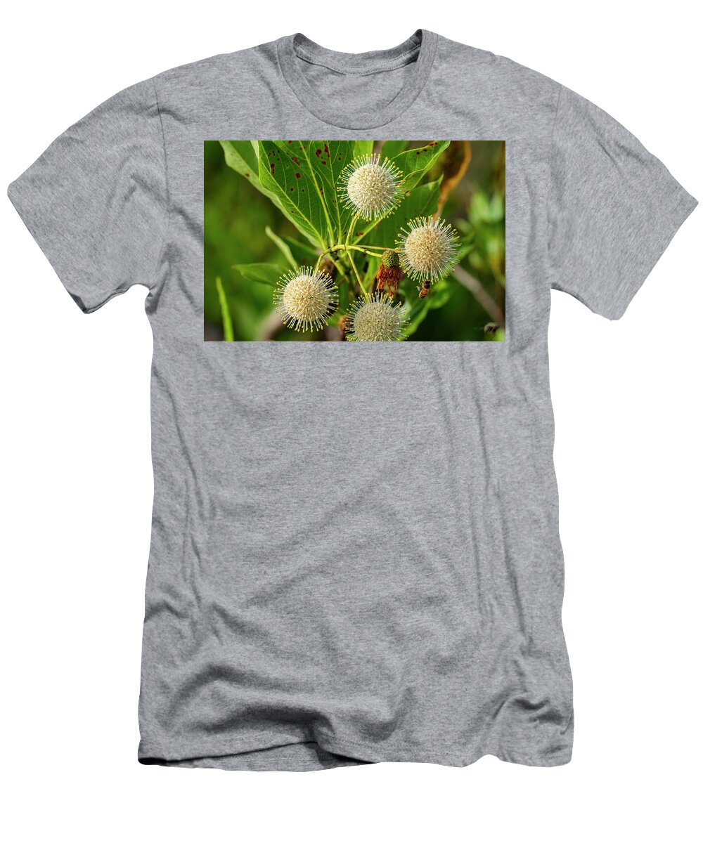 Bird T-Shirt featuring the photograph Cephalanthus occidentalis by Todd Tucker