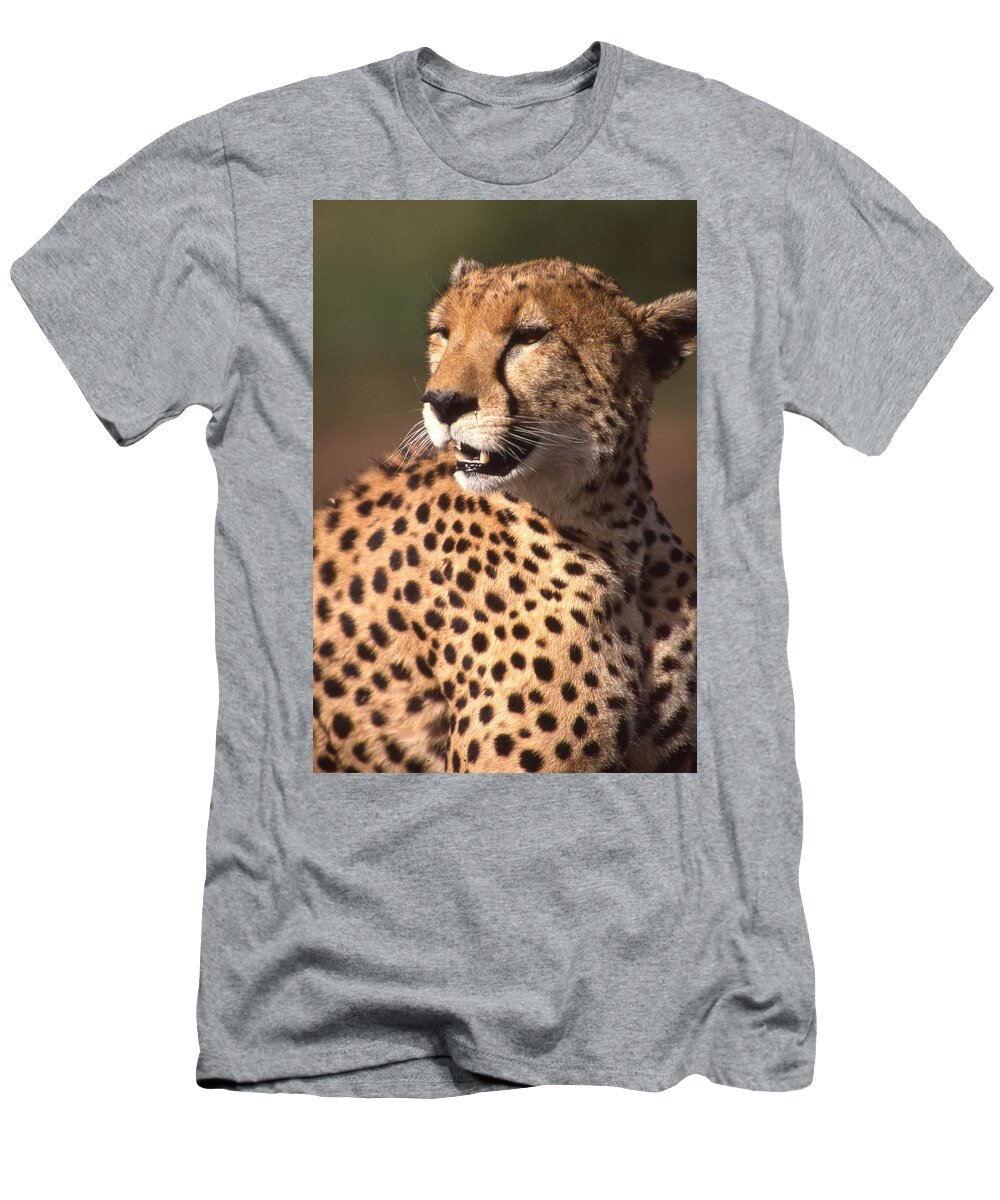 Cheetah T-Shirt featuring the photograph Cheetah Profile by Russ Considine