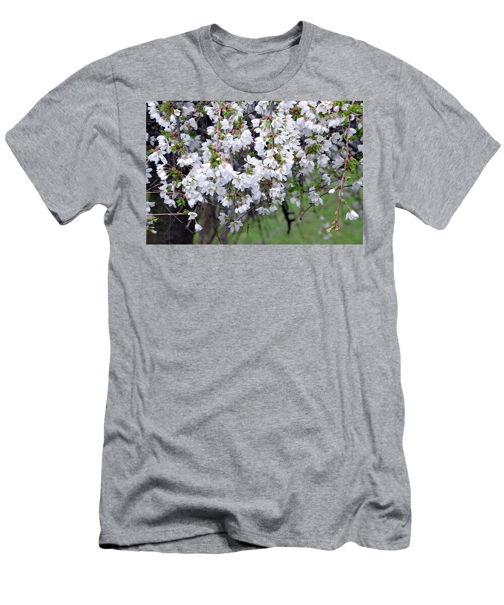  T-Shirt featuring the photograph Cherry blossom 3 by Harsh Malik