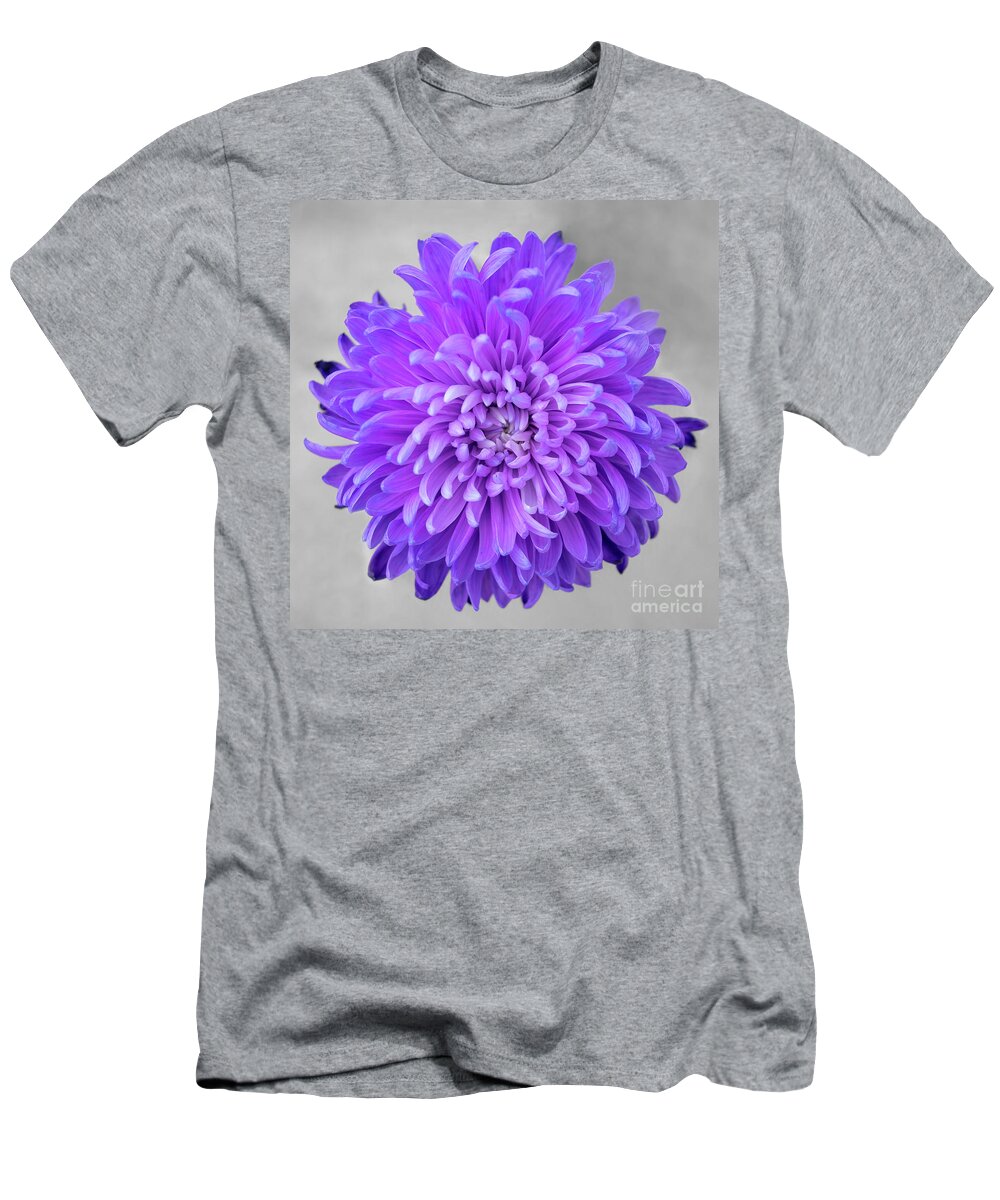 Floral T-Shirt featuring the photograph Chrysanthemum Flower Joy-Purple by Renee Spade Photography