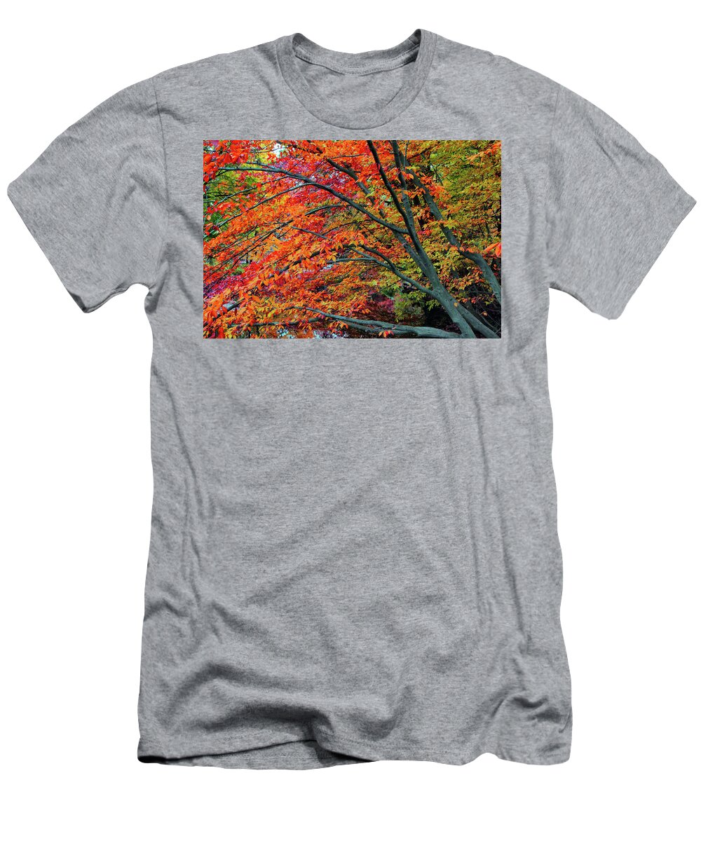 Autumn T-Shirt featuring the photograph Flickering Foliage by Jessica Jenney
