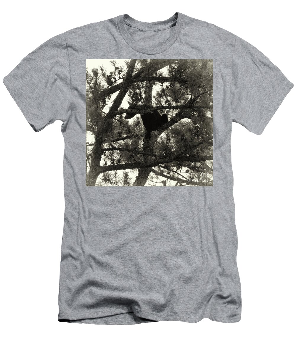 Bear T-Shirt featuring the photograph Climbing Bear 4 by Phil Perkins