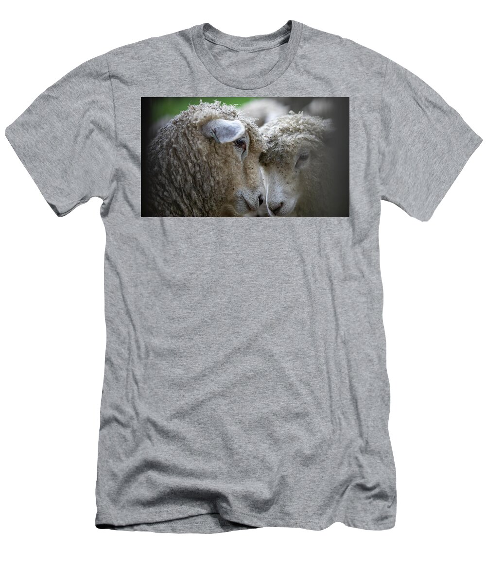 Sheep T-Shirt featuring the pyrography Close by Lara Morrison