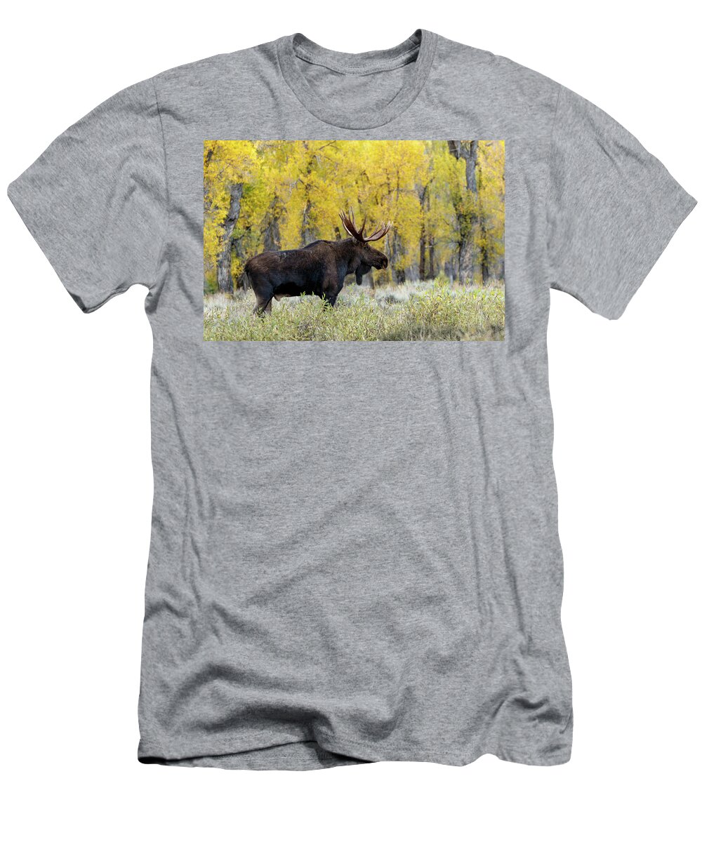 Moose T-Shirt featuring the photograph Colorful by Ronnie And Frances Howard