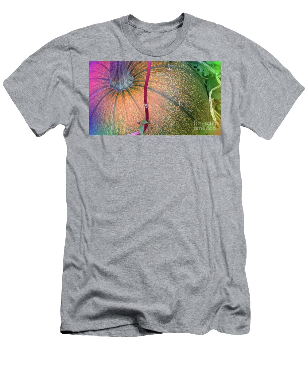 Canada T-Shirt featuring the photograph Colourful Pumpkin by Mary Mikawoz