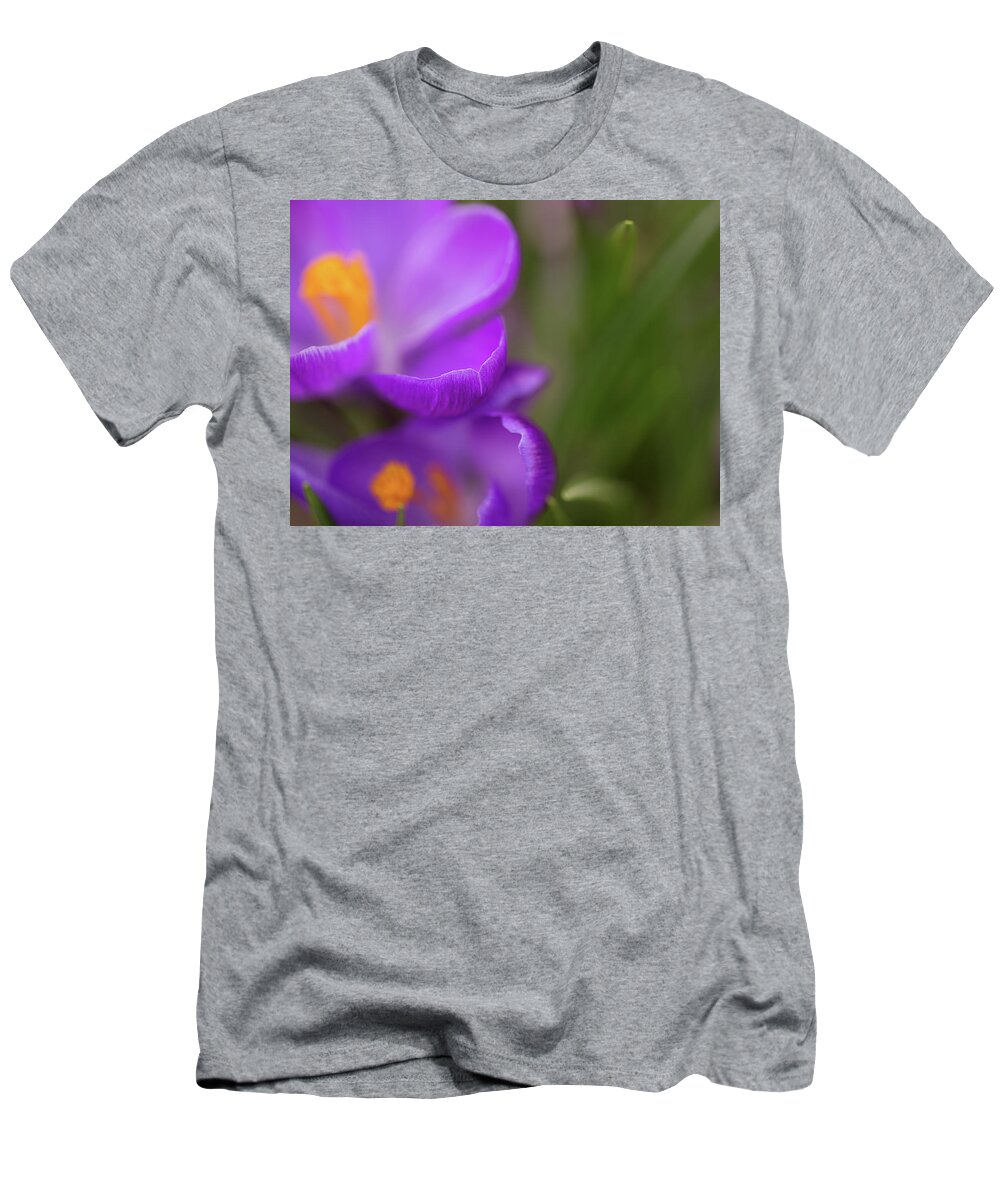 Purple Crocuses T-Shirt featuring the photograph Come unto me by Kunal Mehra