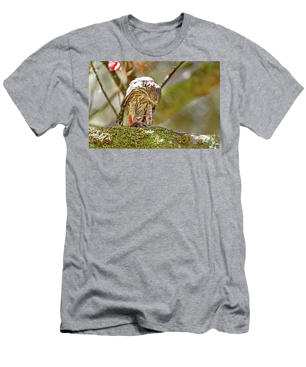 Cooper's Hawk T-Shirt featuring the photograph Cooper's Hawk Devouring Large Rodent by Amazing Action Photo Video
