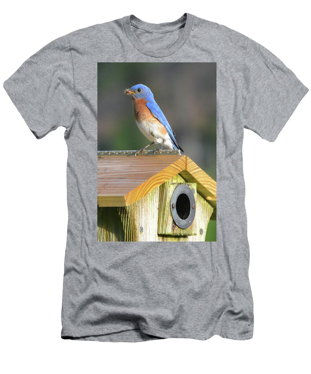 Bluebird T-Shirt featuring the photograph Dad Brings Breakfast by Jerry Griffin