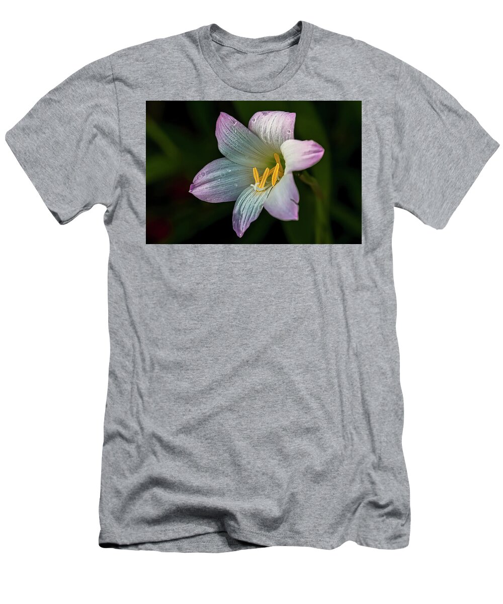  T-Shirt featuring the photograph Day Lilly by Lou Novick