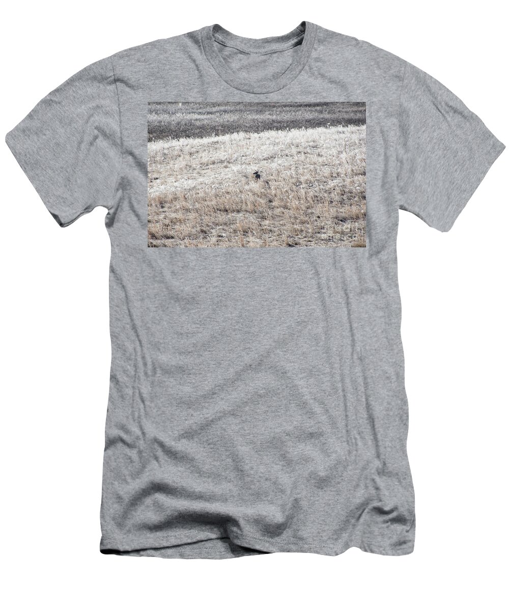 Deer T-Shirt featuring the photograph Deer At Cades Cove by Phil Perkins
