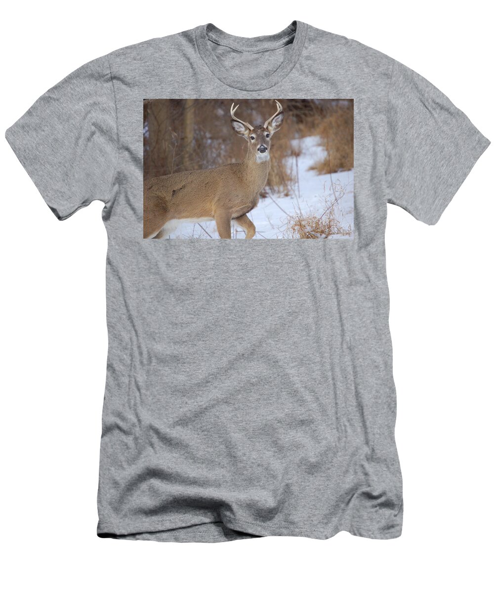 Deer T-Shirt featuring the photograph Deer in Winter by Nancy Ayanna Wyatt