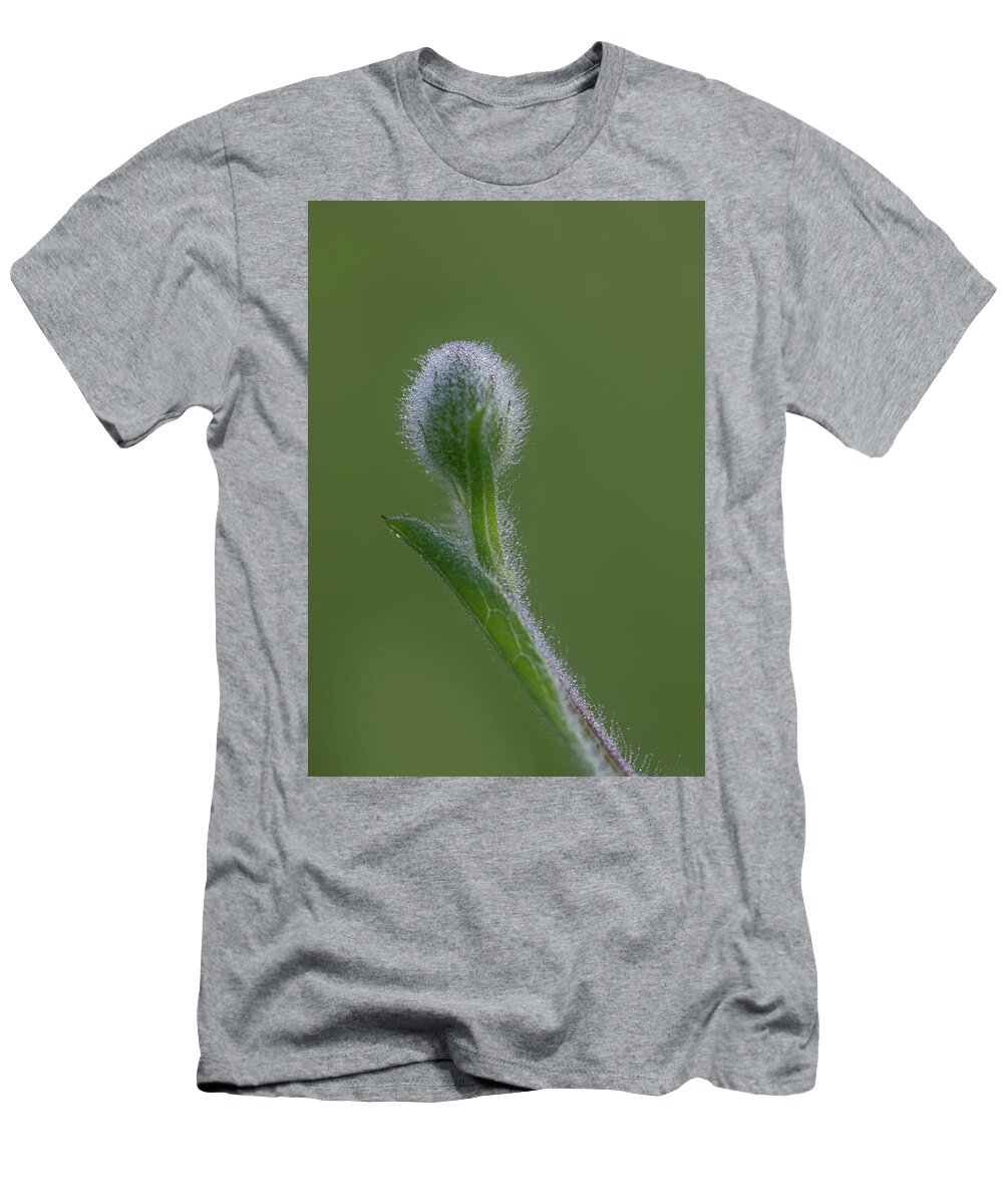 Dew T-Shirt featuring the photograph Dew On A Groundsel Bud by Karen Rispin