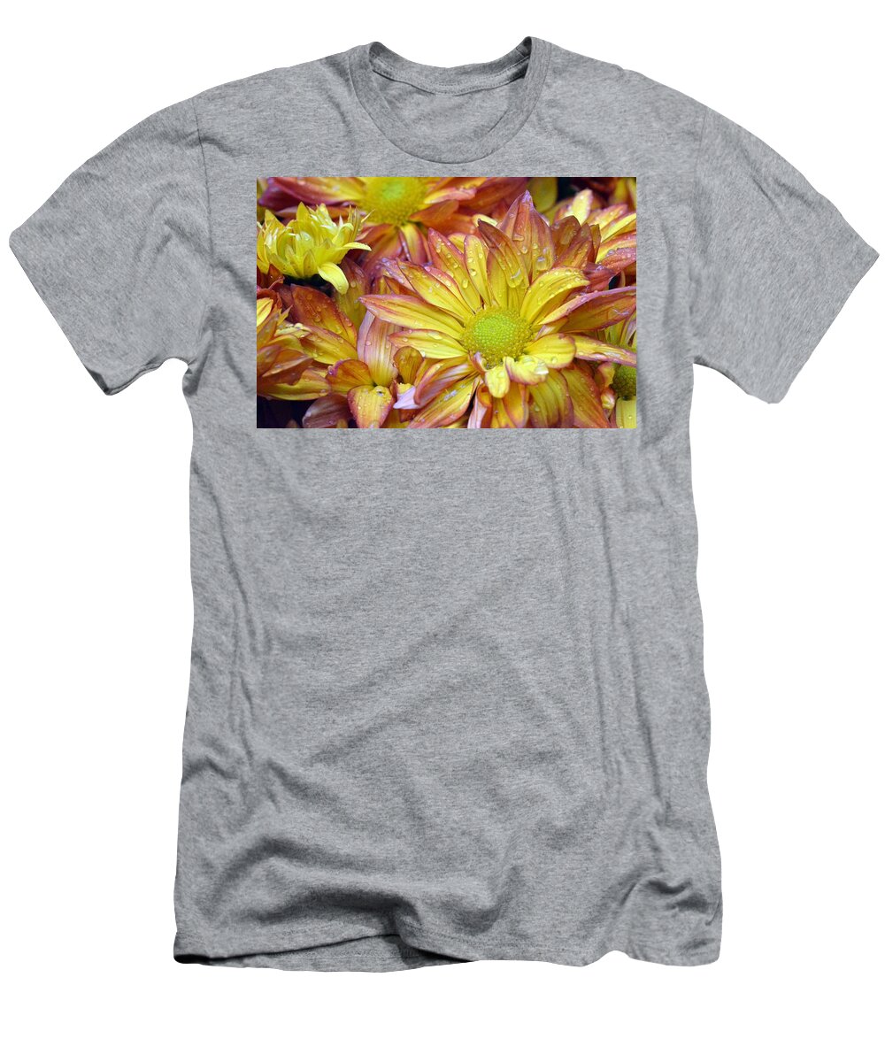 Daisy T-Shirt featuring the photograph Dewy Pink and Yellow Daisies 2 by Amy Fose