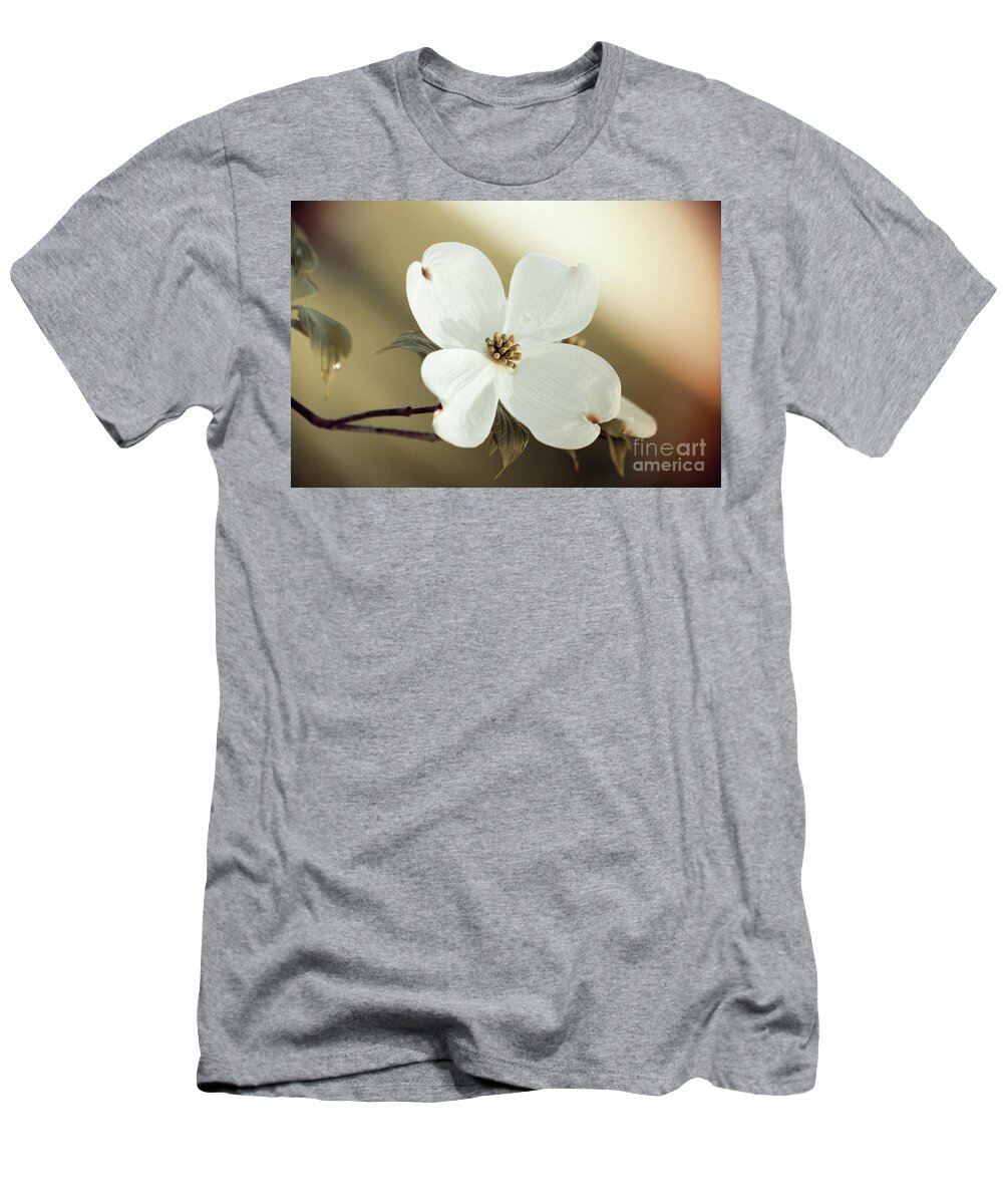 Dogwood; Dogwood Blossom; Blossom; Flower; Vintage; Macro; Close Up; Petals; Green; White; Calm; Horizontal; Leaves; Tree; Branches T-Shirt featuring the photograph Dogwood in Autumn Hues by Tina Uihlein