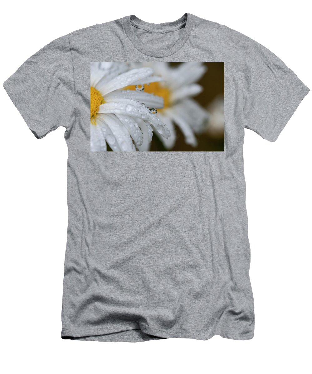 Astoria T-Shirt featuring the photograph Drizzle on Shasta Daisies by Robert Potts