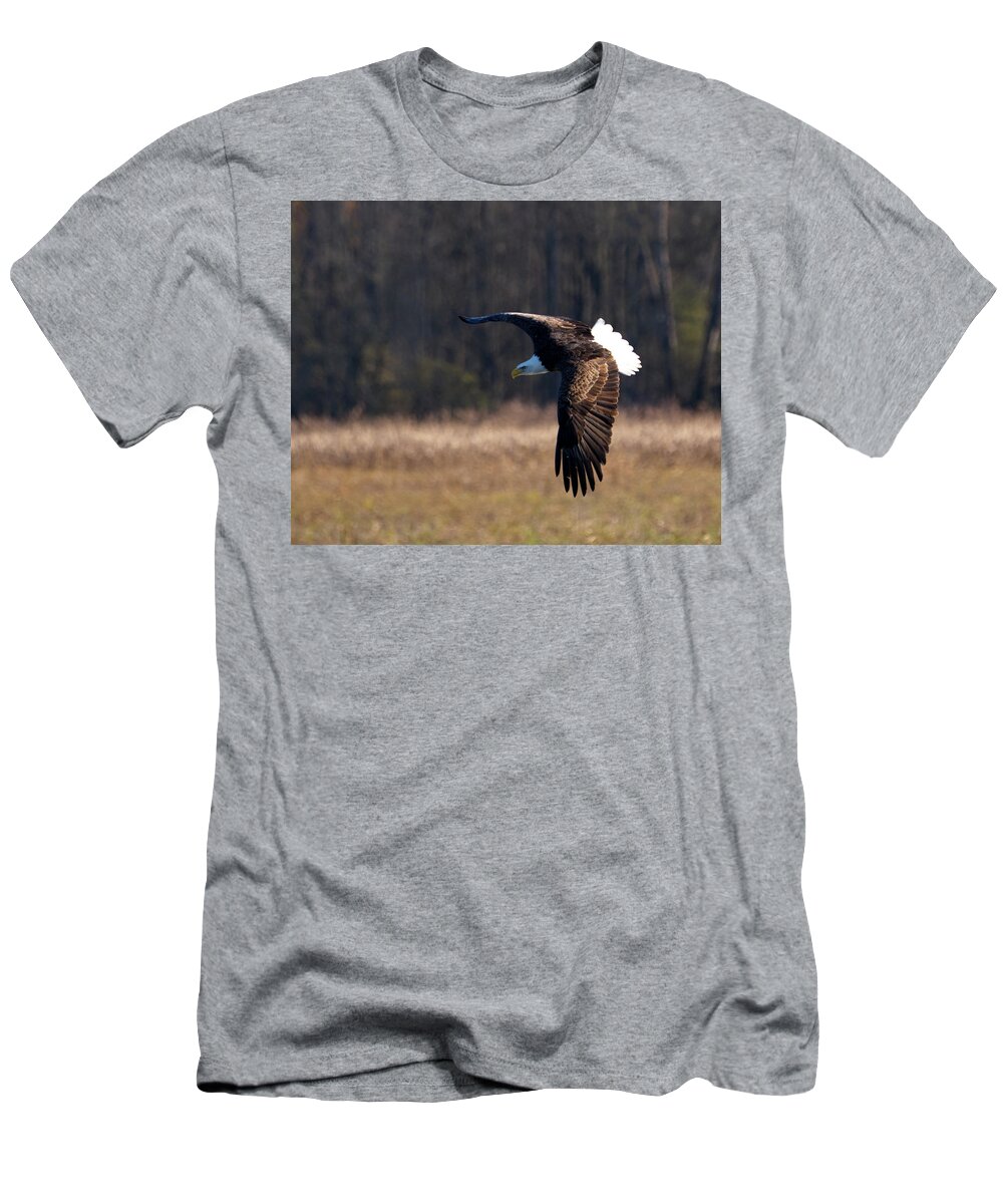 Eagle T-Shirt featuring the photograph Eagle Flys Over Field by Flinn Hackett