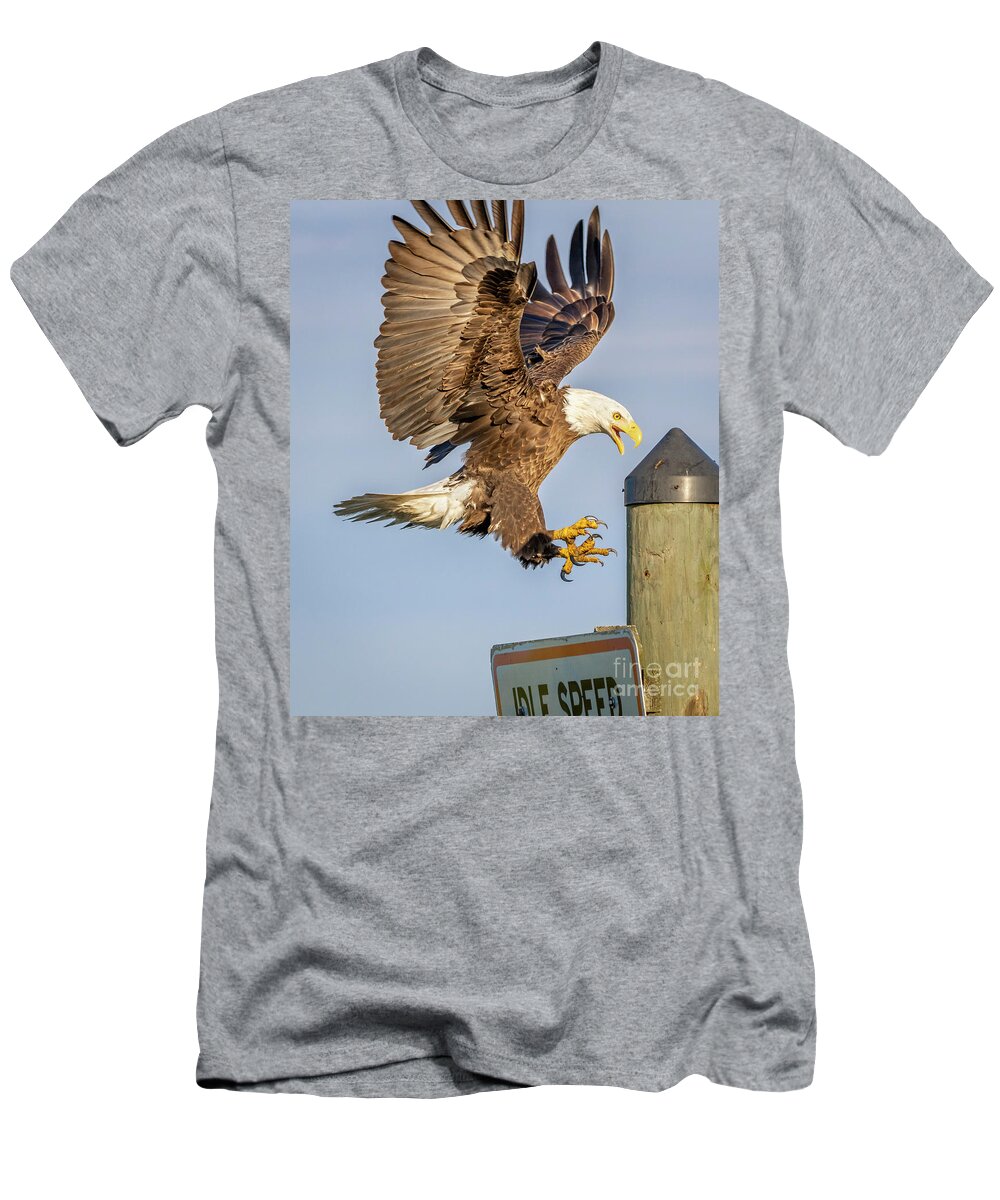 Eagle T-Shirt featuring the photograph Eagle Landing Approach by Tom Claud