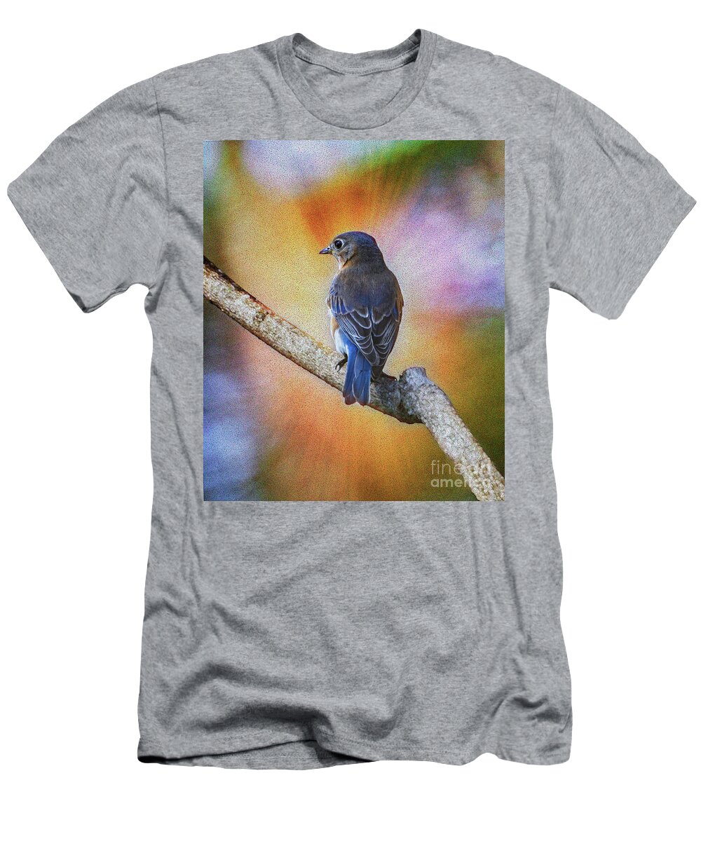Bluebird T-Shirt featuring the photograph Eastern Bluebird by Sandra Rust
