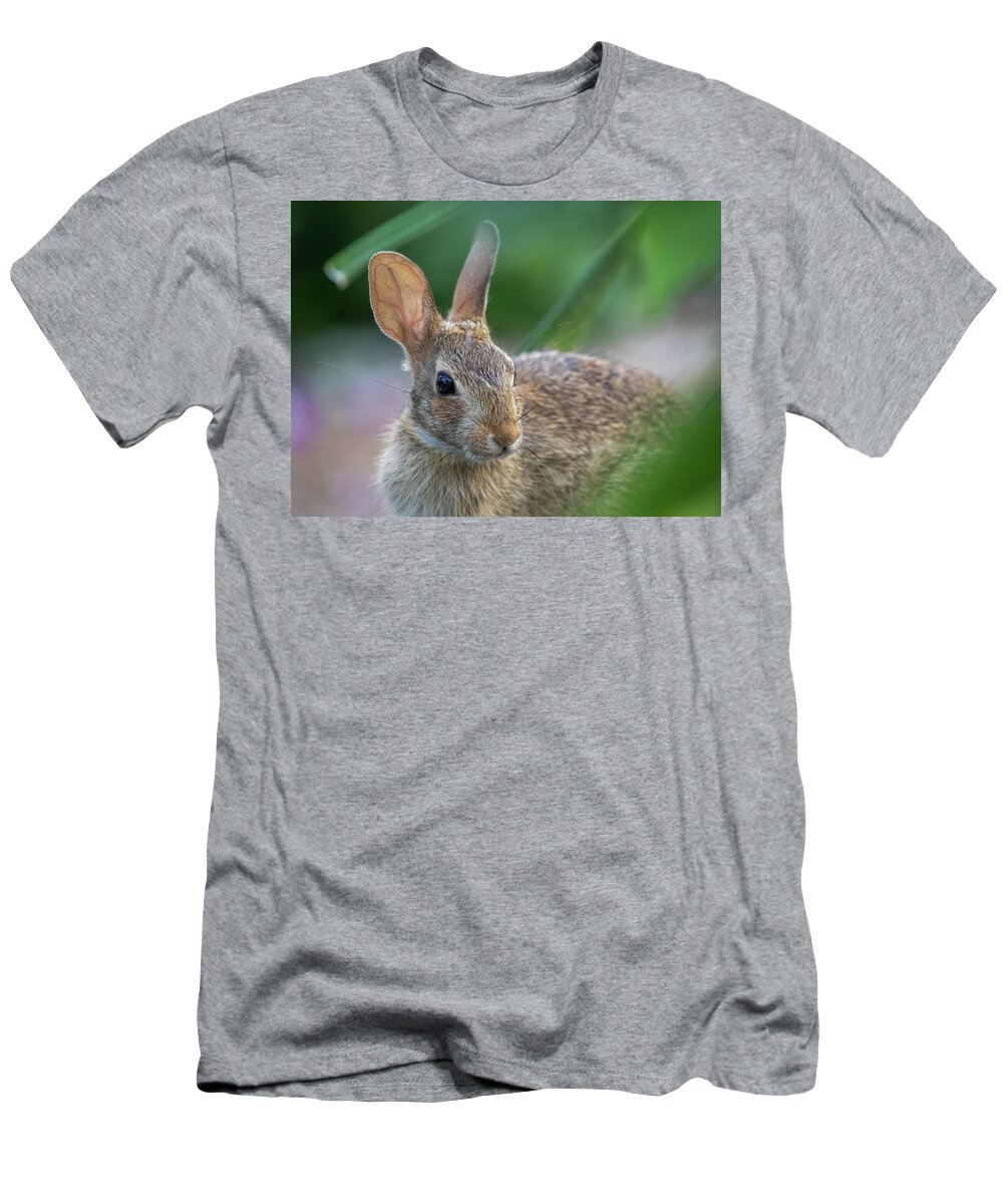 Wildlife T-Shirt featuring the photograph Eastern Cottontail Rabbit by Lara Morrison