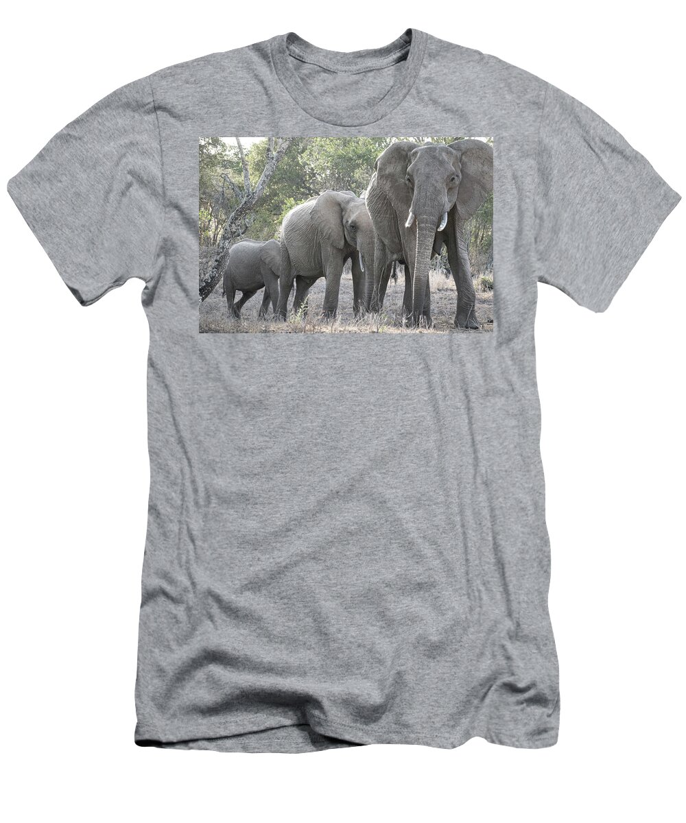 Elephant T-Shirt featuring the photograph Elephant family in Kenya by Phil And Karen Rispin