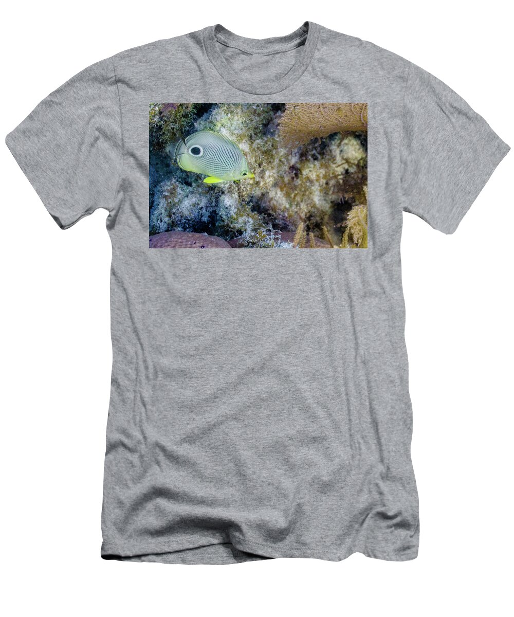 Animals T-Shirt featuring the photograph Eligible by Lynne Browne