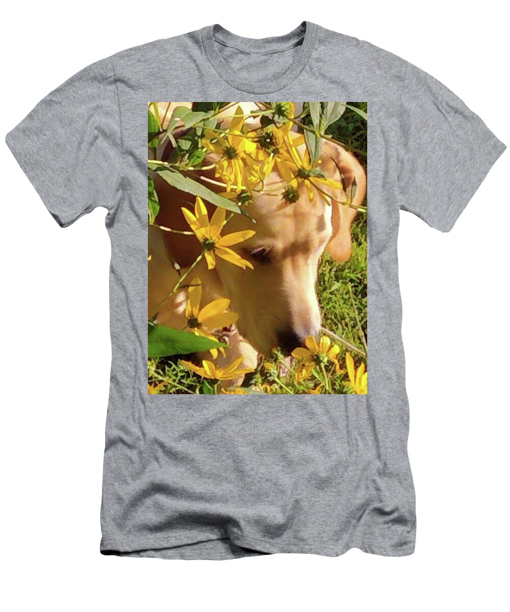 Dog T-Shirt featuring the photograph Enjoying Nature by Kim Galluzzo Wozniak