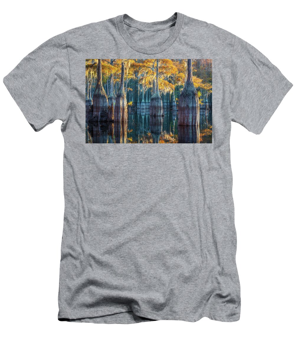 Abstract T-Shirt featuring the photograph Evening at Cypress Lake - 2 by Alex Mironyuk