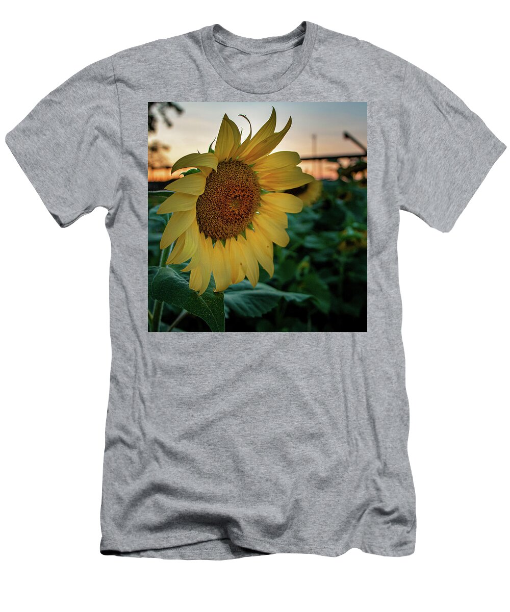 Landscape T-Shirt featuring the photograph Evening Flower by Jamie Tyler