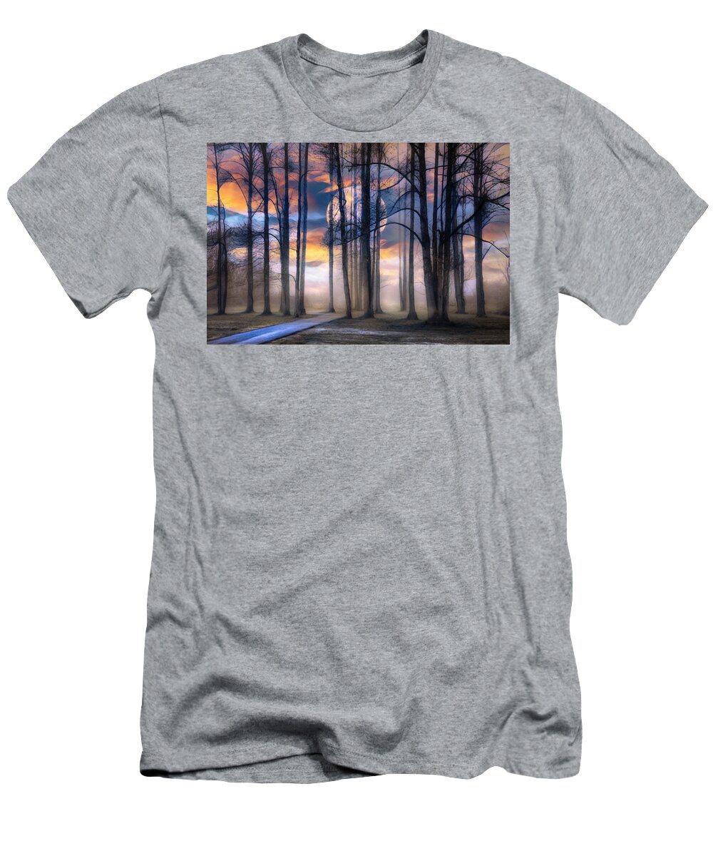 Trail T-Shirt featuring the photograph Evening Mystery by Debra and Dave Vanderlaan