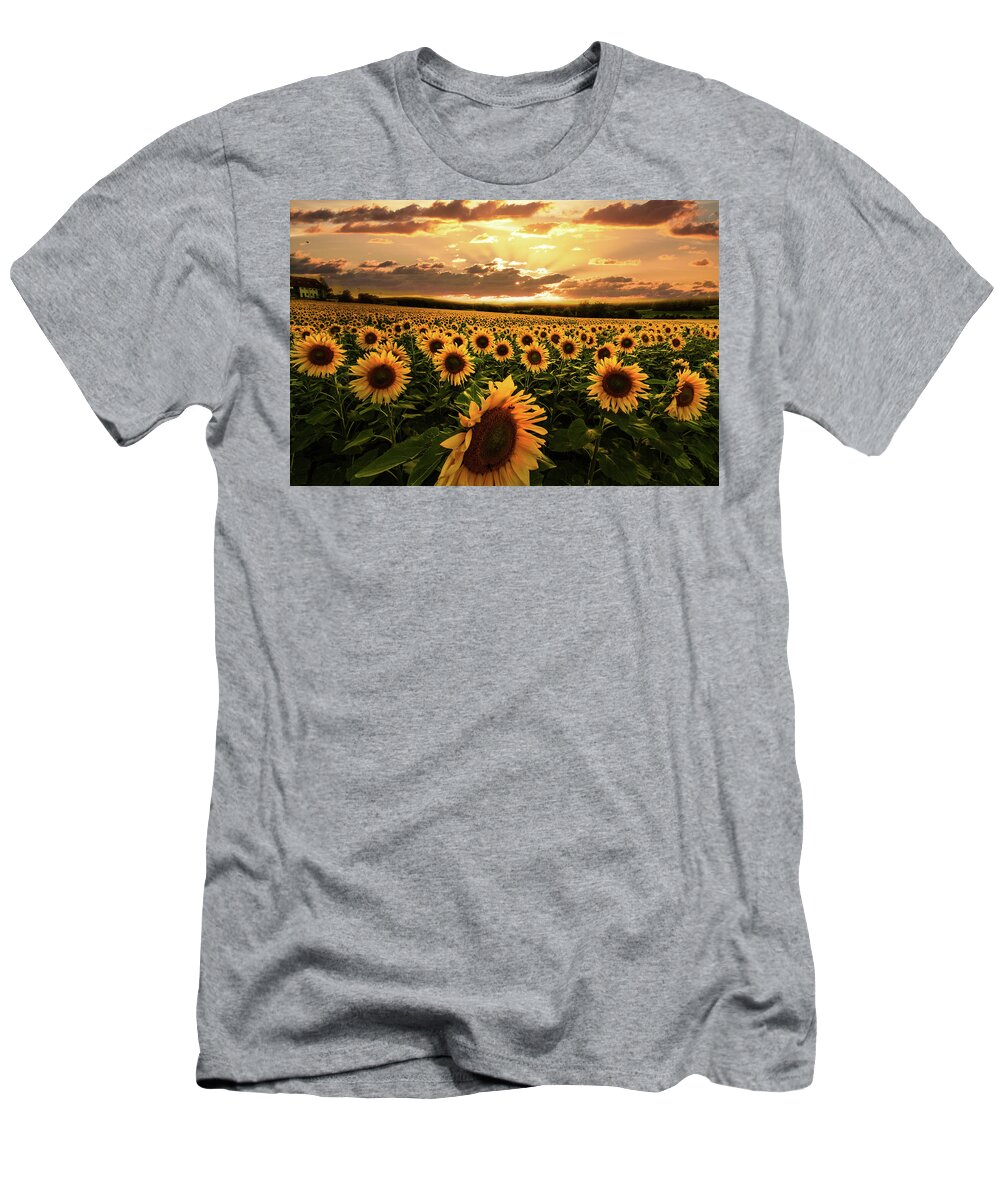 Barns T-Shirt featuring the photograph Evening Sunset Sunflowers by Debra and Dave Vanderlaan