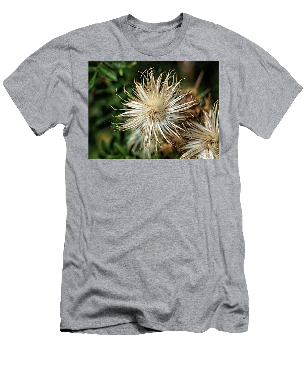 Nature T-Shirt featuring the photograph Face in Tree 17 by Rebecca Dru
