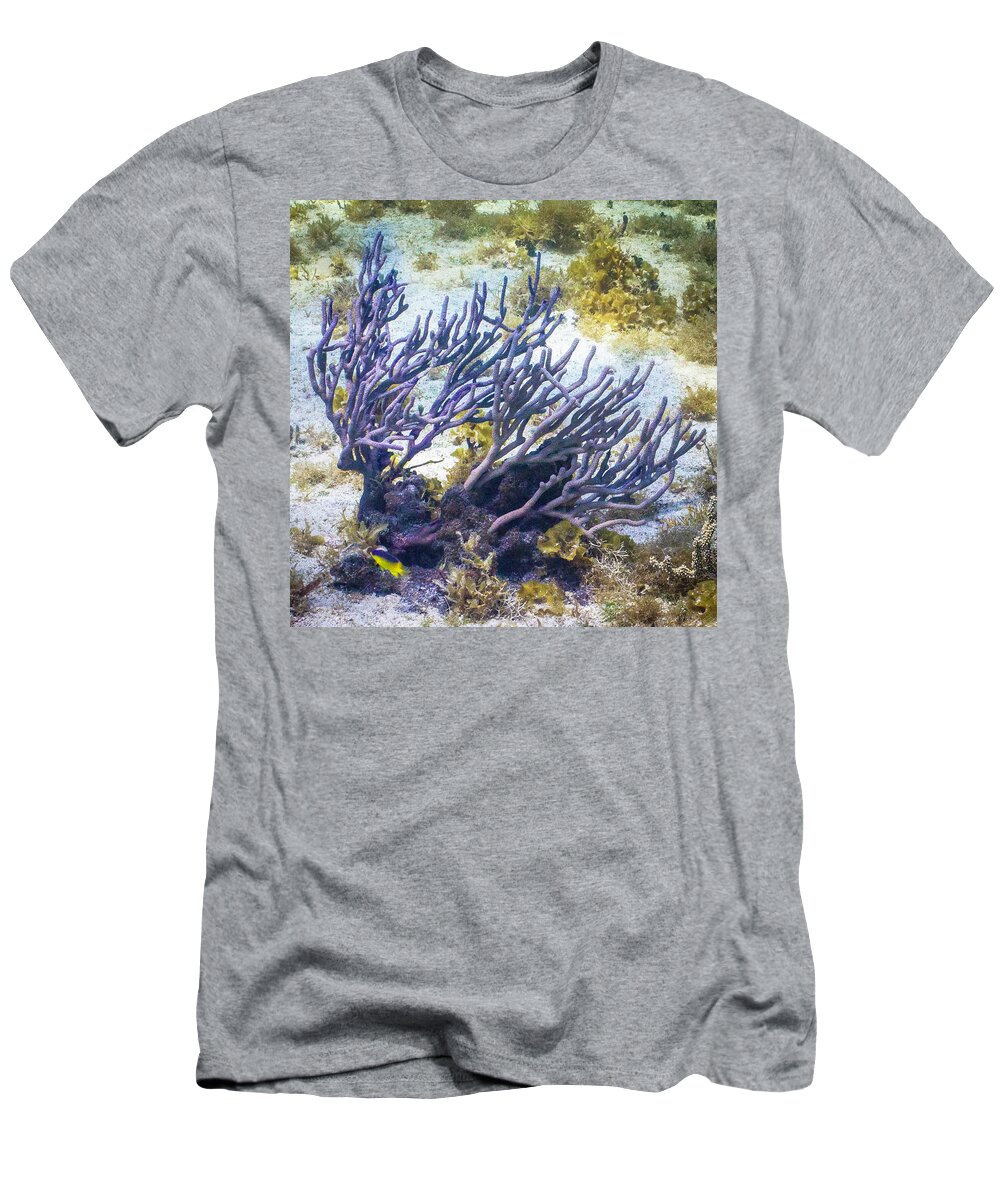 Fish T-Shirt featuring the photograph Fairytail Land by Lynne Browne