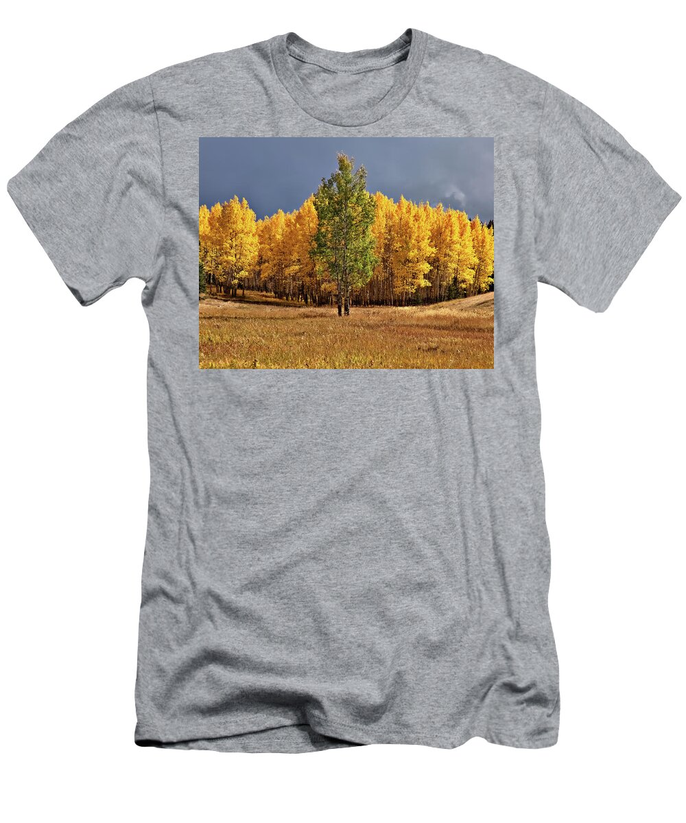 Fall Colors T-Shirt featuring the photograph Fall Green and Gold by Bob Falcone