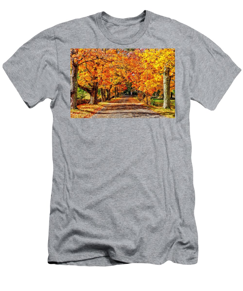  T-Shirt featuring the photograph Fall in New England by Adam Green