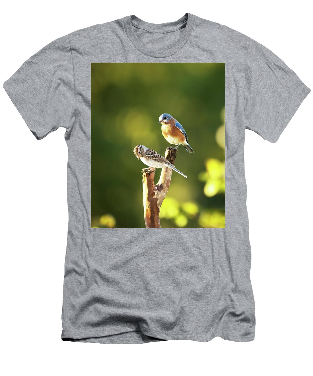 Birds T-Shirt featuring the photograph Feathered Friends by Jamie Pattison