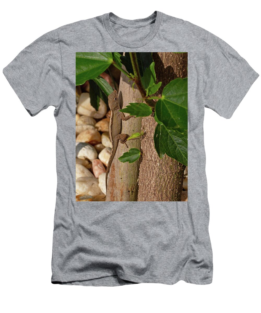Lizard T-Shirt featuring the photograph Female Brown Anole by Gina Fitzhugh