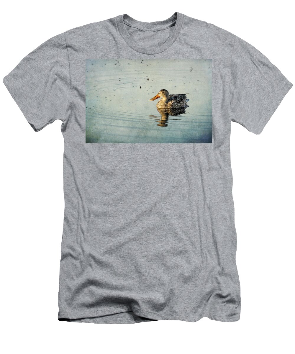 Northern Shoveler T-Shirt featuring the photograph Female Northern Shoveler Duck Facing the Light by Belinda Greb