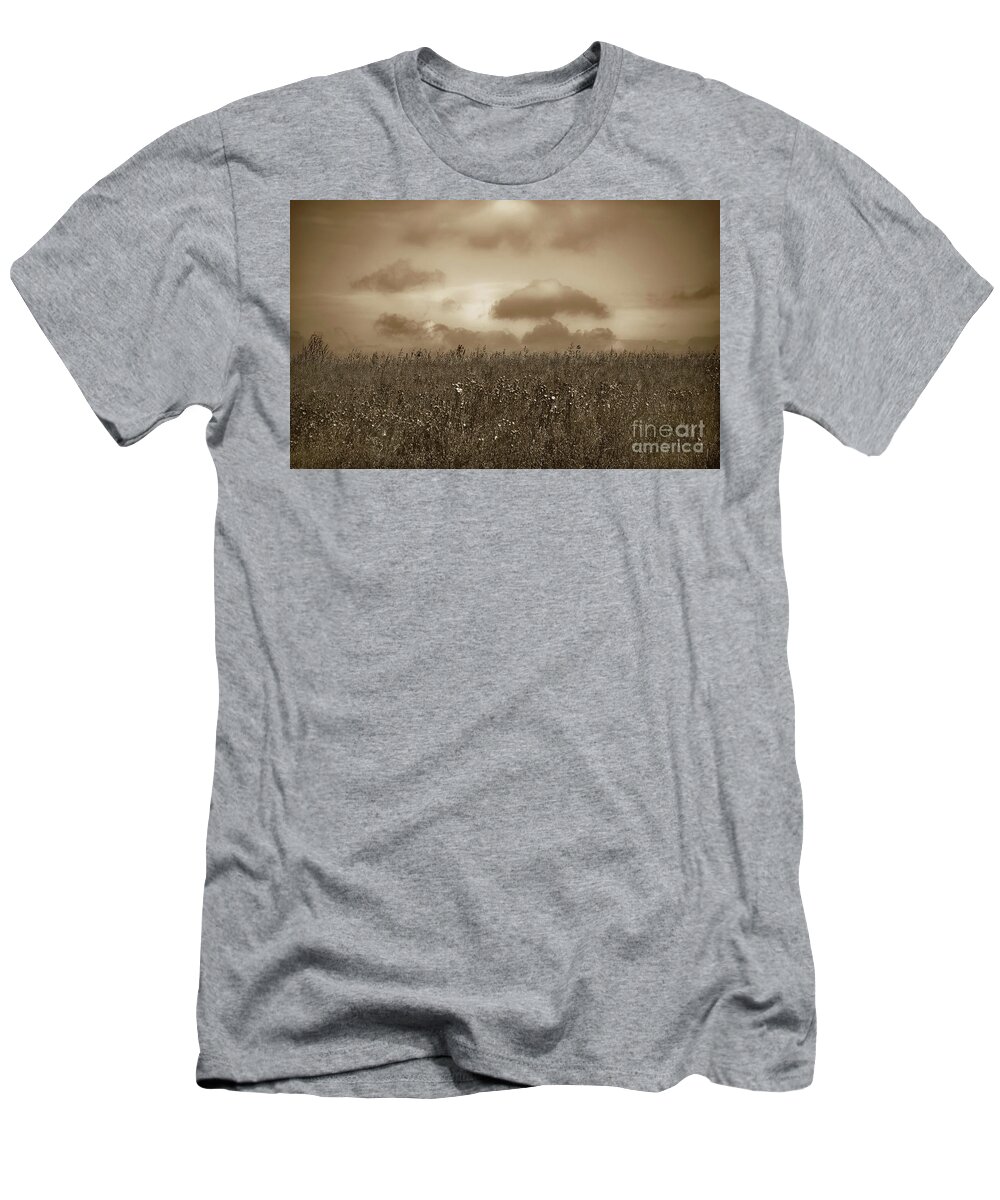 Poland T-Shirt featuring the photograph Field in sepia, northern Poland by Michael Ziegler