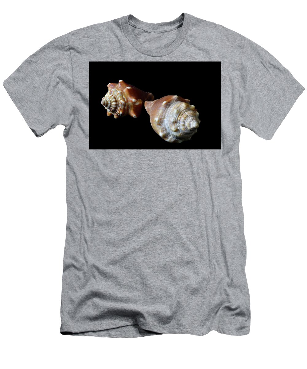 Sea Shells T-Shirt featuring the photograph Fighting Conch Shells by Phil And Karen Rispin