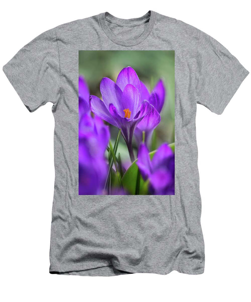 Wild Flowers T-Shirt featuring the photograph First Days Of Spring by John Rogers