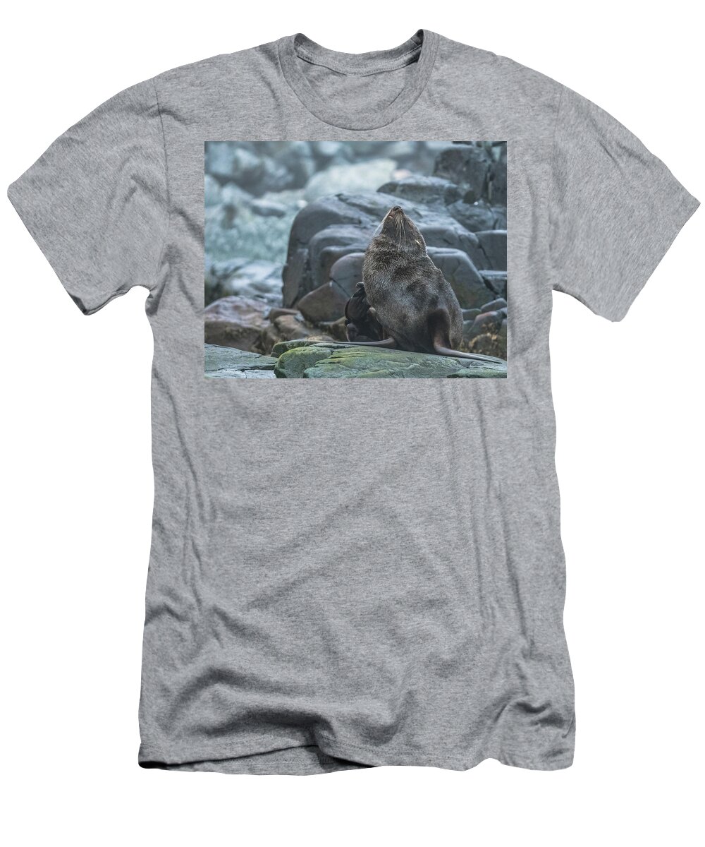 03feb20 T-Shirt featuring the photograph First Itch of the Day in Antarctica by Jeff at JSJ Photography