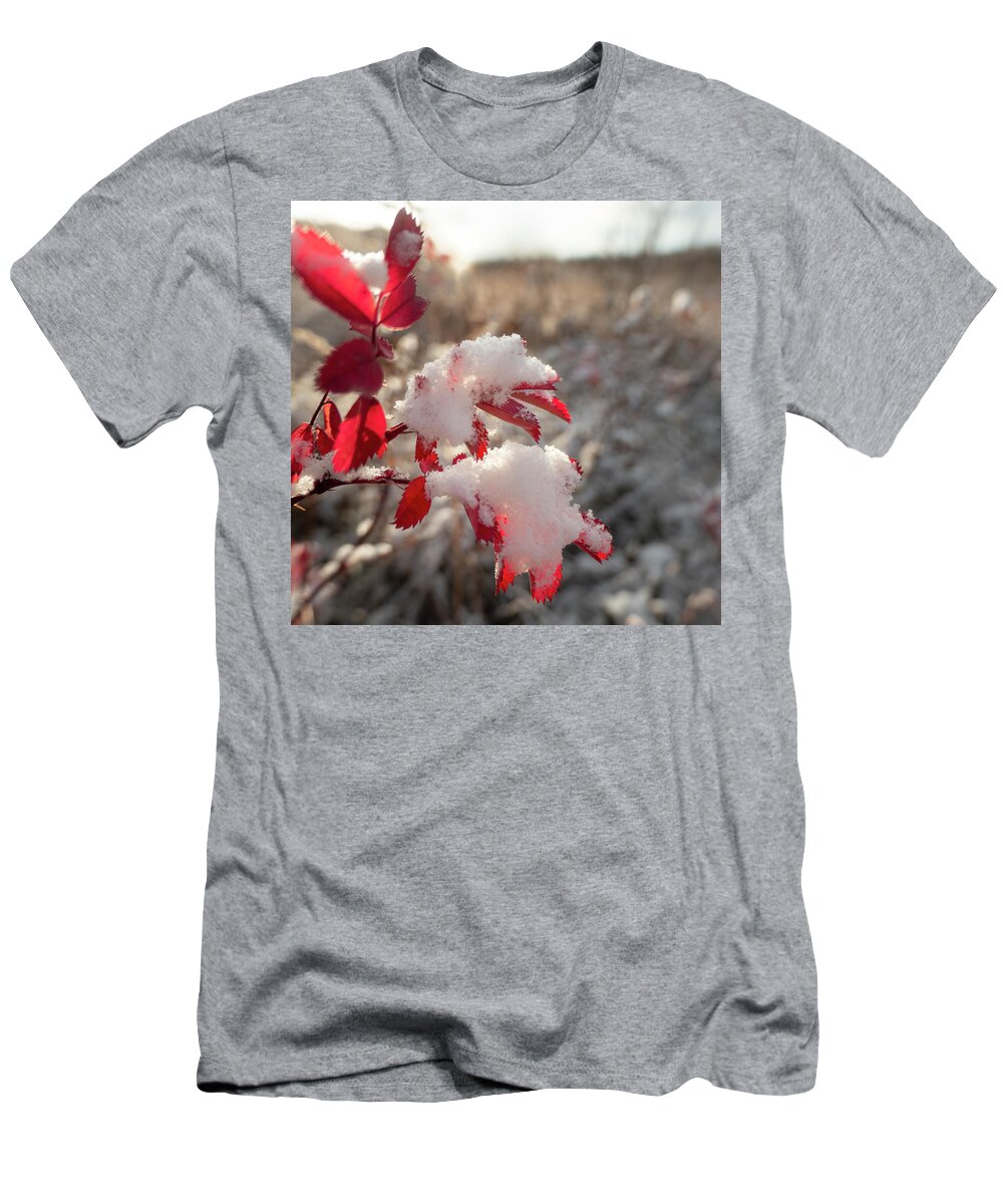 Red T-Shirt featuring the photograph First Snow On Wild Rose Leaves by Karen Rispin
