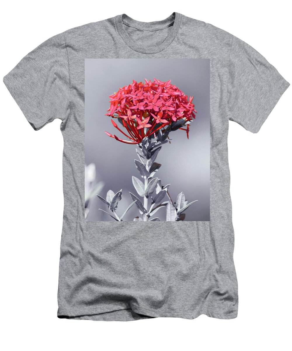Ixora Coccinea Is A Species Of Flowering Plant In The Family Rubiaceae T-Shirt featuring the photograph Flame of the Woods 1 by Gian Smith