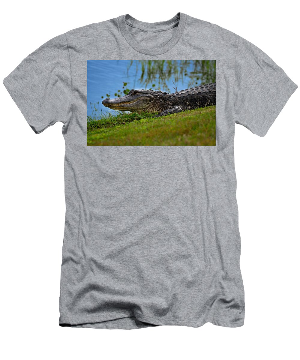 Aligator T-Shirt featuring the photograph Florida Gator 3 by Larry Marshall