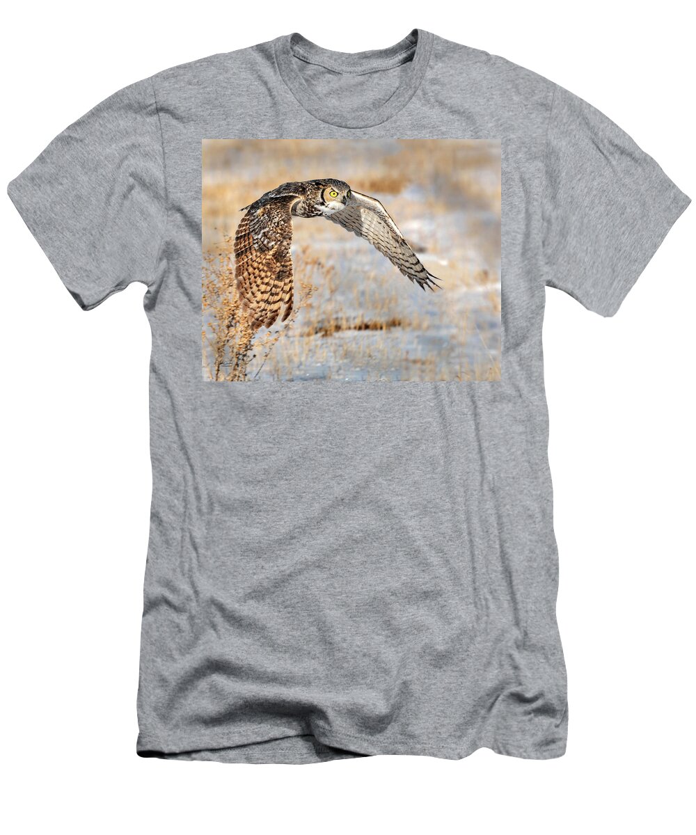 Great Horned Owl T-Shirt featuring the photograph Flying Great Horned Owl by Judi Dressler