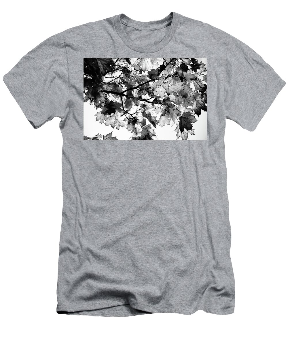 Black T-Shirt featuring the photograph Forest abstraction by Robert Grac