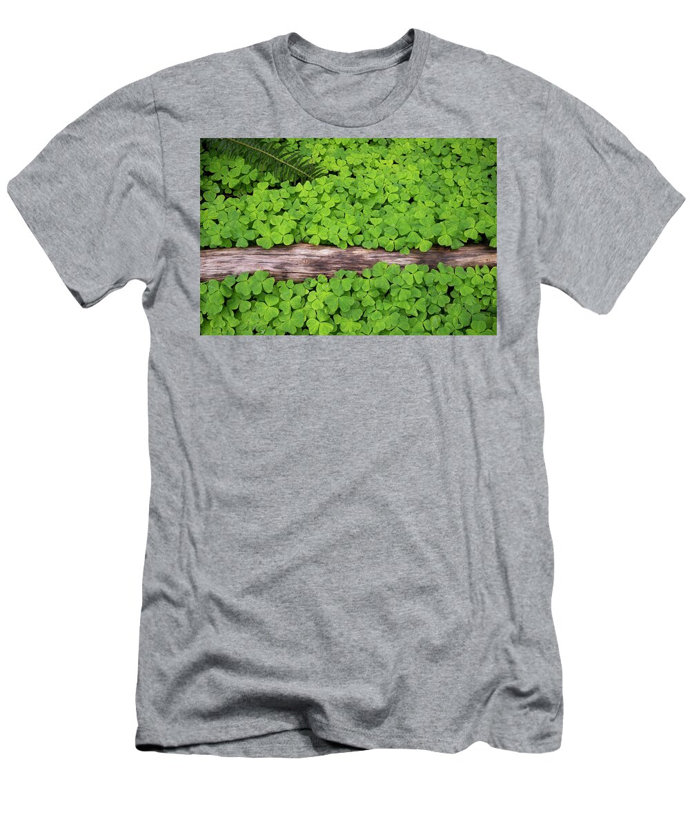 Forest Clover Oregon Spring Groundcover Fern Green T-Shirt featuring the photograph Forest Carpet by Andrew Kumler