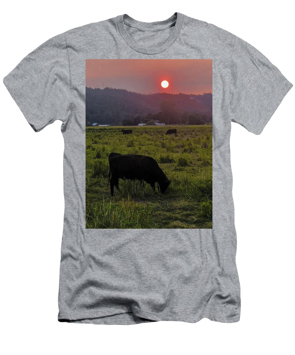 Forest T-Shirt featuring the photograph Forest Fire Haze by Grey Coopre