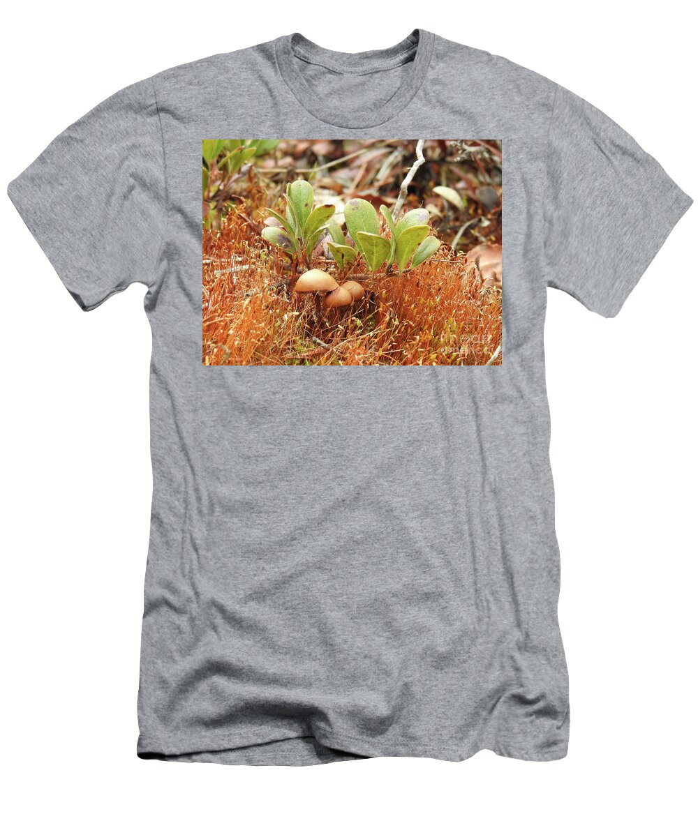 Mushrooms T-Shirt featuring the photograph Forest Floor by Nicola Finch