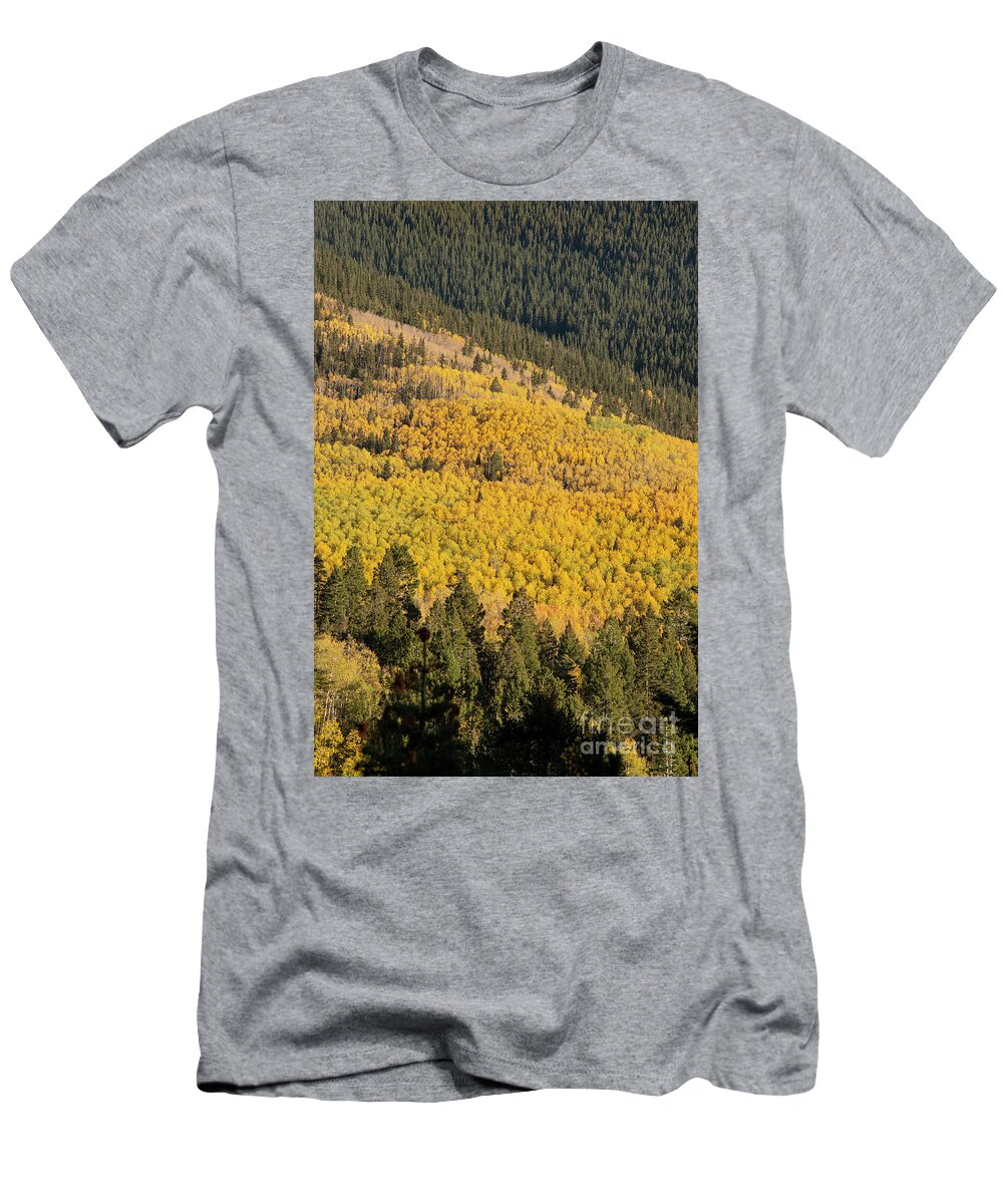 Aspen Vista Trail T-Shirt featuring the photograph Forests on Aspen Vista Trail by Bob Phillips